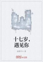 十七岁,遇见你