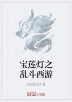 宝莲灯之乱斗西游