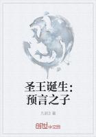 圣王诞生:预言之子
