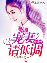 叶先生,宠妻请低调!