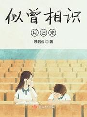 似曾相识月归来