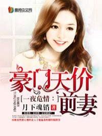 一夜危情:一夜危情:豪门天价前妻