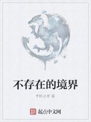 不存在的境界