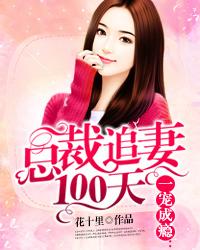 一宠成瘾:总裁追妻100天