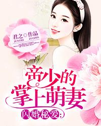 闪婚秘爱:帝少的掌上萌妻